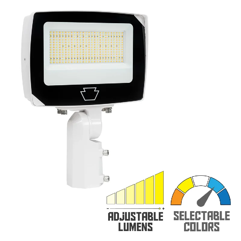 Industrial Lighting for Printing Press FacilitiesLED Flood Light, 15000 Lm, 100W, 30K|40K|50K, Slipfitter|Trunnion, Photocell, 120-277V, White Industrial Lighting for Printing Press FacilitiesLED Flood Light, 15000 Lm, 100W, 30K|40K|50K, Slipfitter|Trunnion, Photocell, 120-277V, White