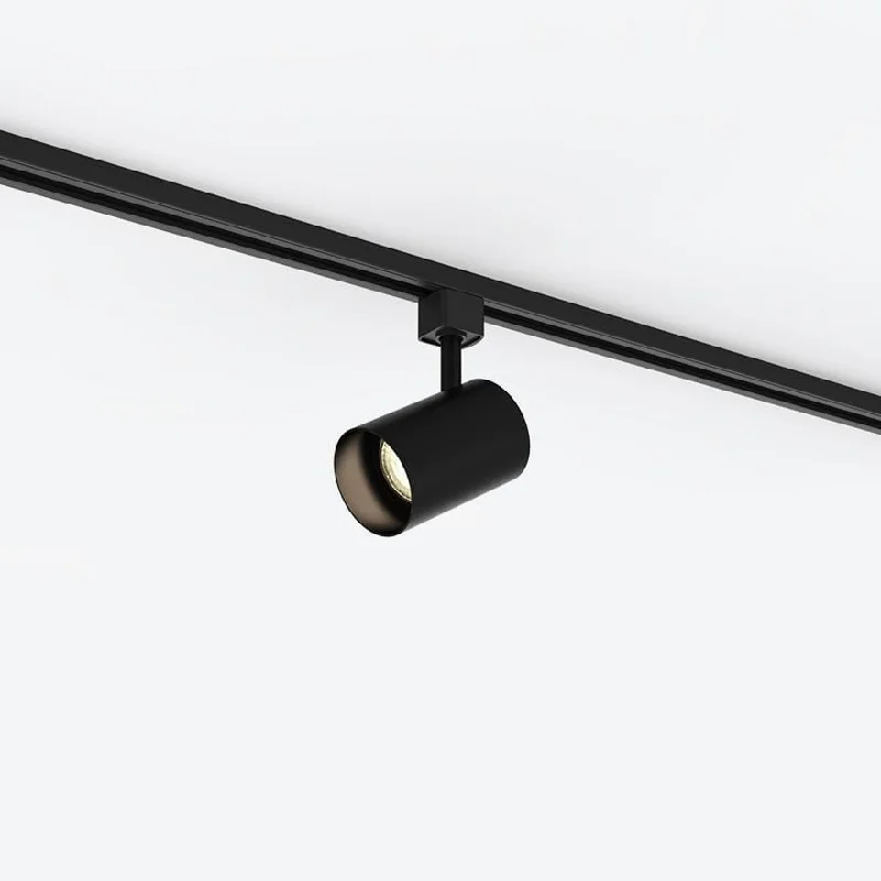 Track lighting for high - ceiling spacesLEON TRACK LIGHT