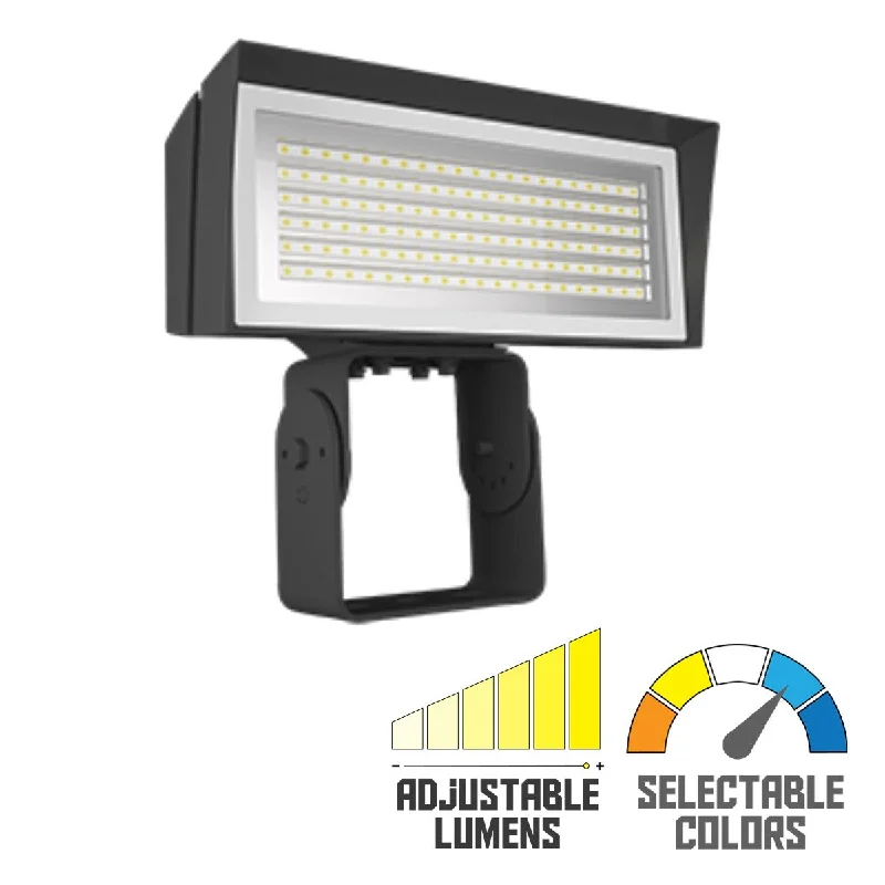 Explosion - Proof Industrial Lighting for Hazardous LocationsLED Flood Light, 52/80W, 10800 Lumens, 4000K/5000K, 120-277V, Trunnion Mount, Bronze Explosion - Proof Industrial Lighting for Hazardous LocationsLED Flood Light, 52/80W, 10800 Lumens, 4000K/5000K, 120-277V, Trunnion Mount, Bronze