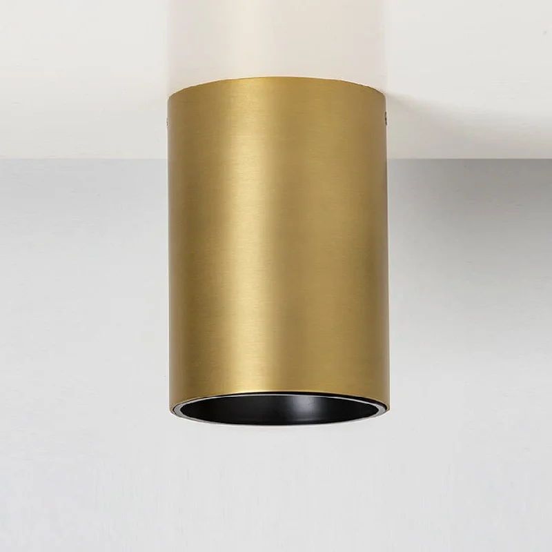 Track lighting with a brushed nickel finishCANNON C 160/115 3K/4K BRASS LED CEILING LIGHT Track lighting with a brushed nickel finishCANNON C 160/115 3K/4K BRASS LED CEILING LIGHT
