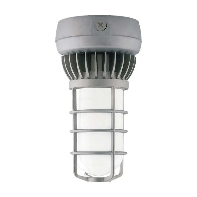 Industrial Lighting for Printing Press FacilitiesLED Jelly Jar Light Fixture, 26 Watts, 2000 Lumens, 4900K, 120-277V, Ceiling Mount Industrial Lighting for Printing Press FacilitiesLED Jelly Jar Light Fixture, 26 Watts, 2000 Lumens, 4900K, 120-277V, Ceiling Mount